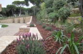 garden design - soft landscaping-algarve002